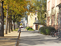 Foto: Stichweg