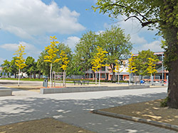 Foto: Hans-Eiden-Platz